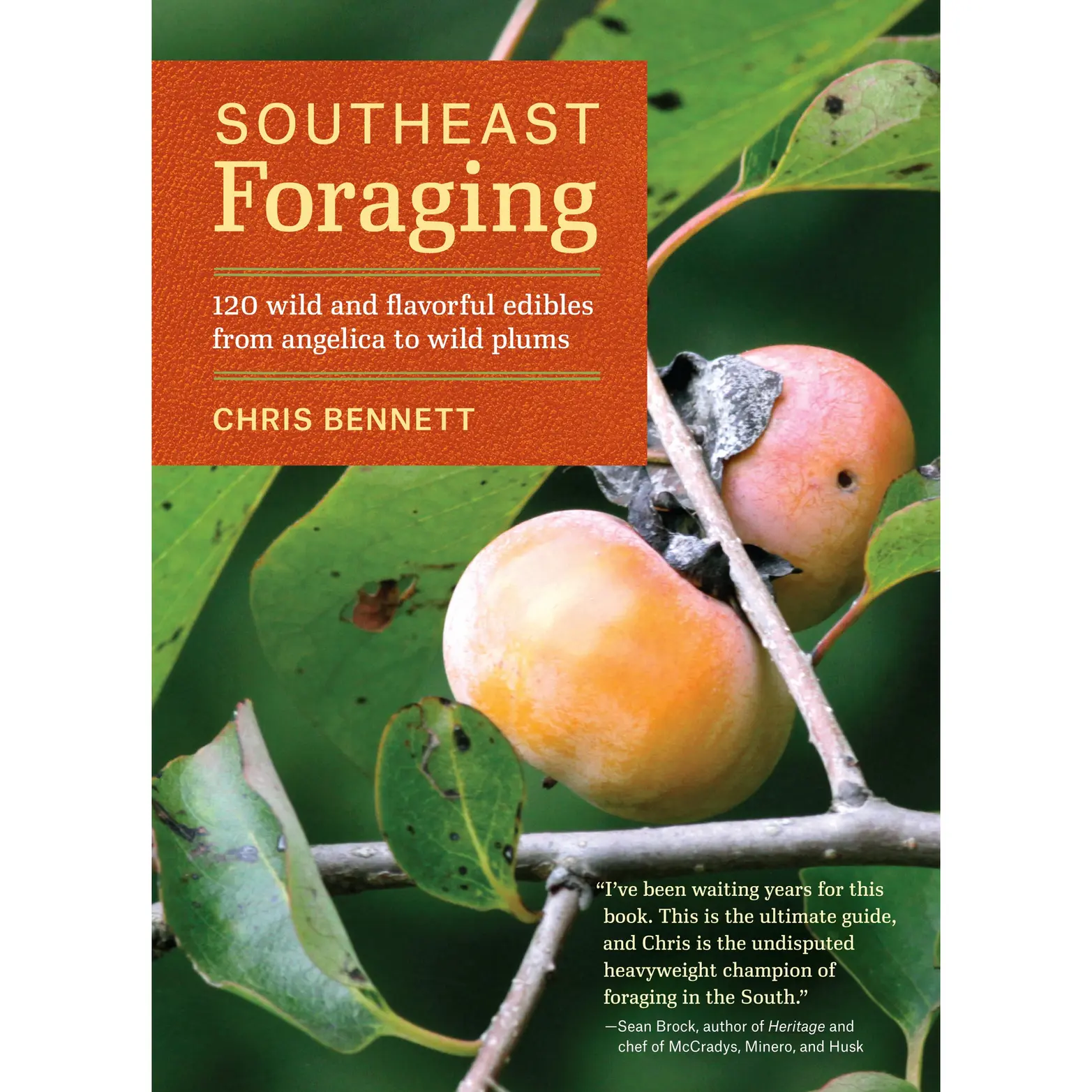 Southeast Foraging by Chris Bennett [Paperback Book]
