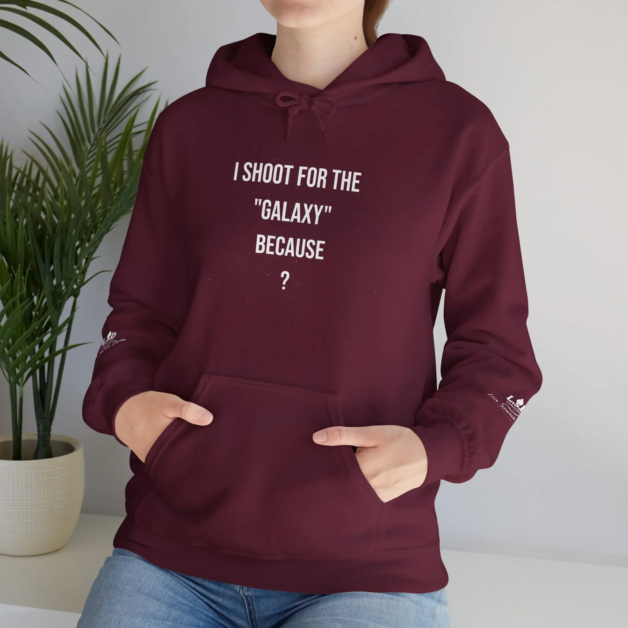 Capricorn Statement Hoodie, Astrology Sweatshirt, Empowering Zodiac Apparel, Inspirational Horoscope Jumper, Motivational Graphic Pullover, Menswear Outdoor