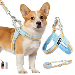QQLe 4pcs Rainbow No-Pull Dog Harness and Leash Set - Adjustable Soft-Padded Vest with Easy Control Chest Strap, Comfortable Saddle Back Support for Puppies and Small to Large Dogs, Walking and Training