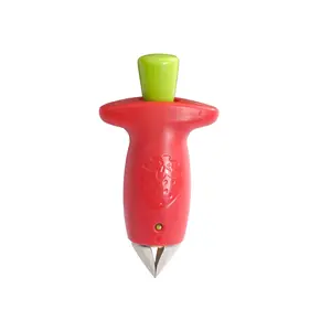 Strawberry Seed Remover Stainless Steel Pineapple Eye Picker Tomato Seeder Kitchen Tool, Durable & Efficient Design for Easy Use