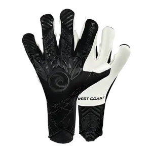 West Coast Raptor Shadow