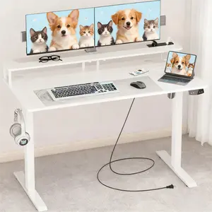 Mr IRONSTONE Standing Desk with Drawers & Power Outlets, Electric Gaming Desk with Monitor Stand, Adjustable Height, Ergonomic Adjustable Desk with Memory Preset, Computer Desk Stand Up Desk, Suitable for Home Office