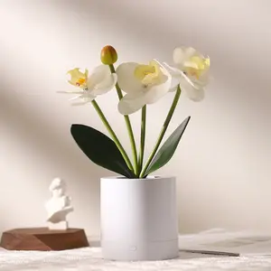 Flower Lamp Gifts for Her Women Wife Artificial Orchid Flower 3 Branches in White Pot, Realistic Fake Butterfly Orchid Bonsai for Living Room Decor