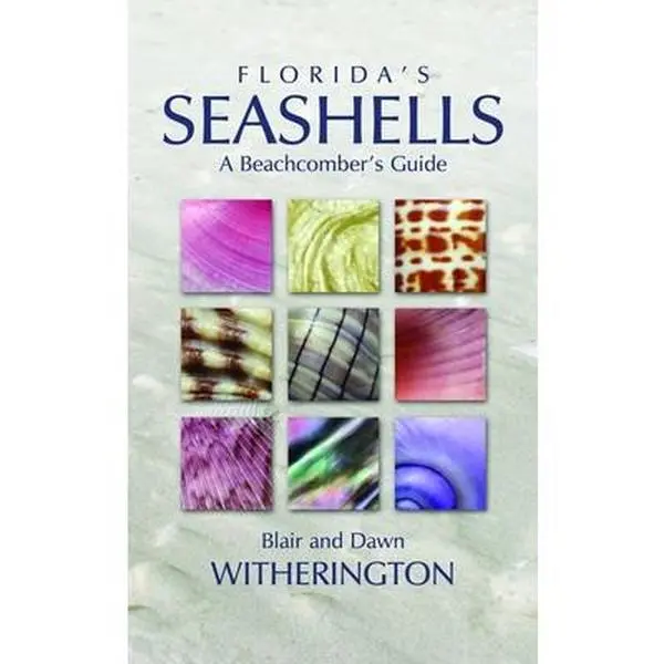 USED Book - Florida's Seashells: A Beachcomber's Guide by Blair Witherington (Paperback) - english