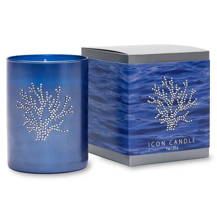 Primal Elements Coral Scented Aromatherapy Wax Household Candle, 9.5 oz Icon Style in Blue Glass with Matching Gift Box