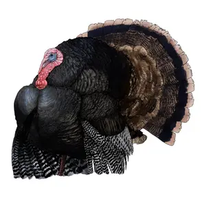 Black Turkey Sticker, Wild Turkey Vinyl Decal, Fall Harvest Decor, Thanksgiving Gift Idea, Suitable for Laptops, Cars, Water Bottles
