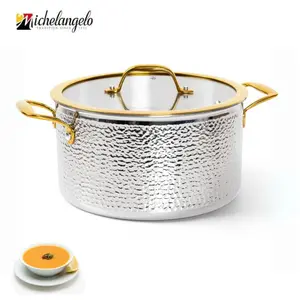 Michelangelo Triply Stainless Steel Stock Pot with Lid, Luxury Hammered Stainless Steel 6 Quart Pot with Lid & Golden Handle, Premium Induction Stockpot - 6QT