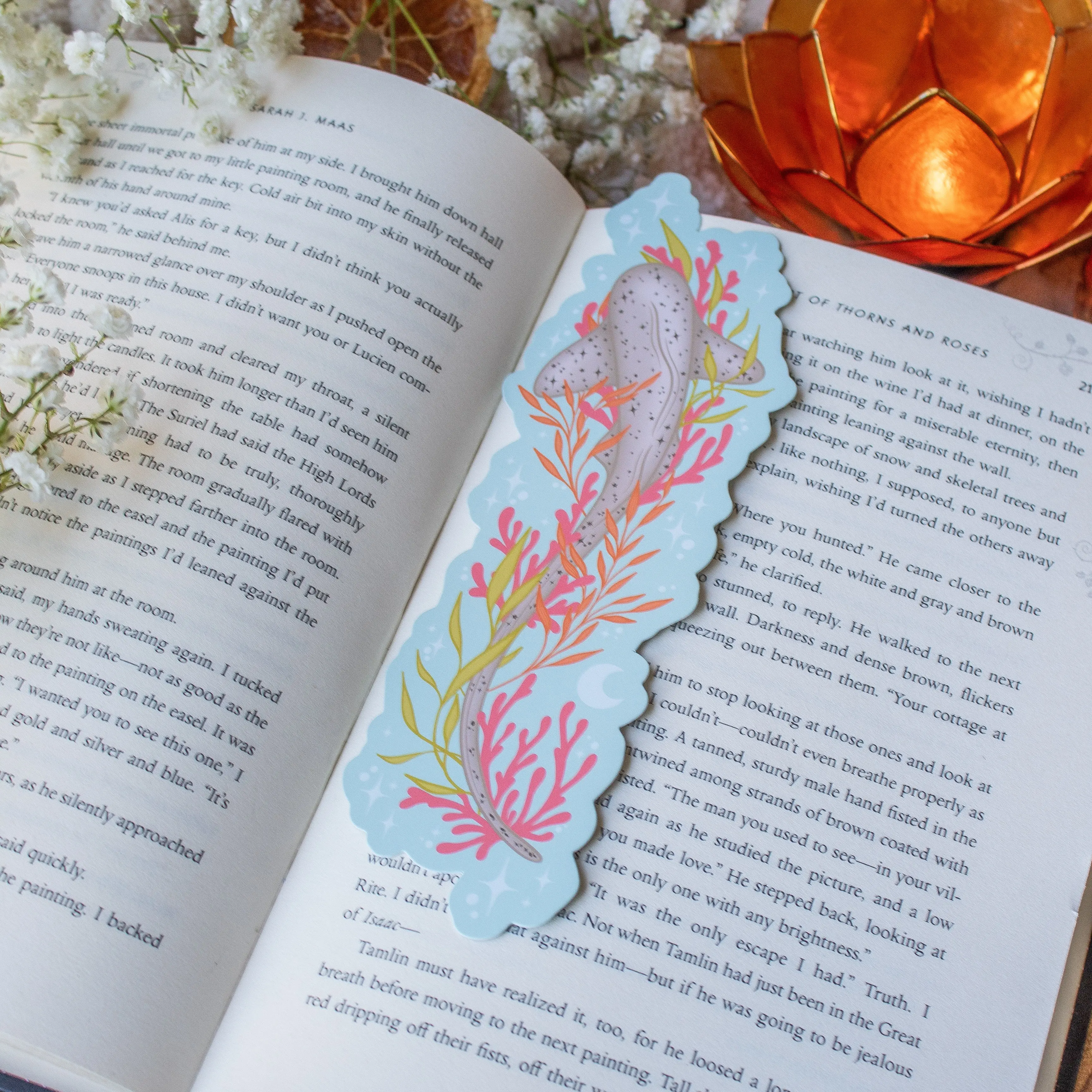 Celestial Zebra Shark 