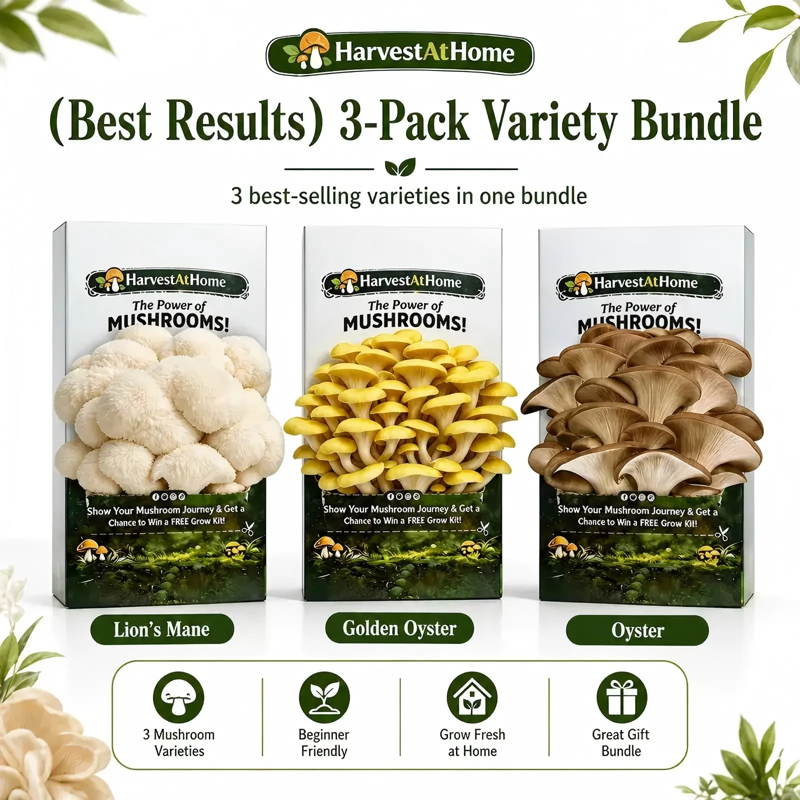 Best Value 3-Pack
