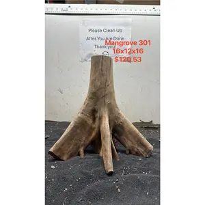 Mangrove Tree Stump 301