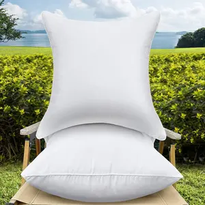 22 x 22 Outdoor Throw Pillow Inserts Set of 2  Square  Decorative Couch Pillow Stuffers Form Large White Sofa Cushions Indoor
