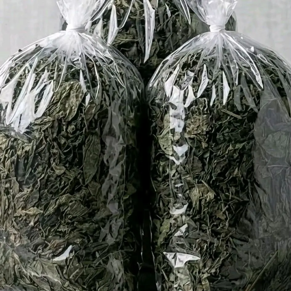 lalo 3packs