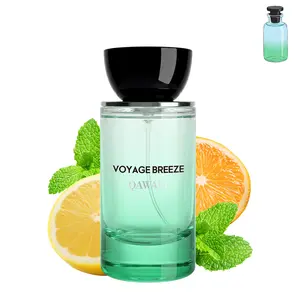 Voyage Breeze | Citrus Aromatic Fruity | Extrait De Parfum 50ml | 8H+ Long Lasting | summer fragrance