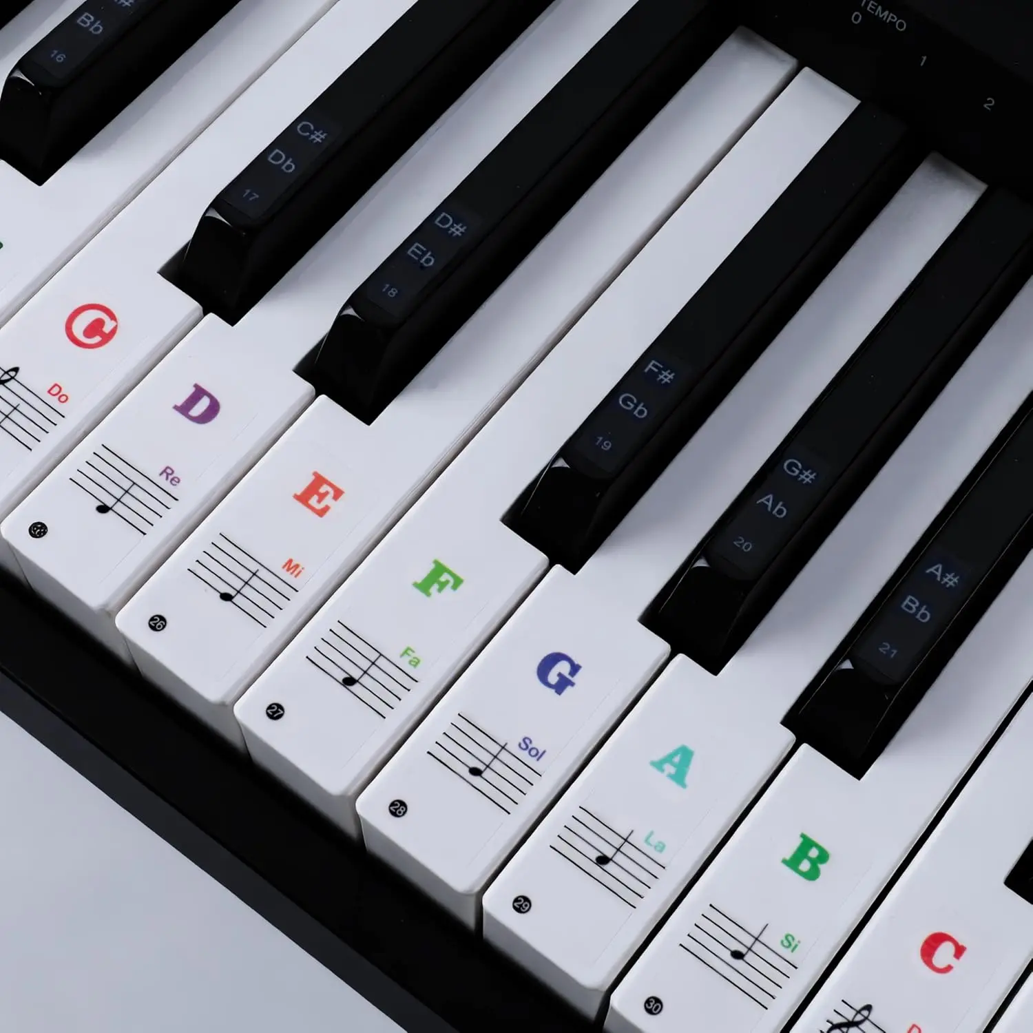 Removable Piano Keyboard Stickers 88/61/54/49/37 Keys Piano Key Stickers Guide Perfect for Adult and Children Beginners - 2 Set