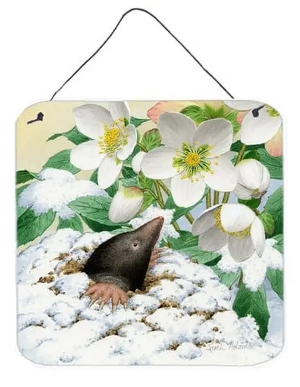 Mole by Sarah Adams Wall or Door Hanging Prints