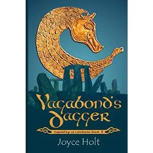 USED-Vagabond's Dagger (Tapestry of Cumbria) by Joyce Holt (Paperback)