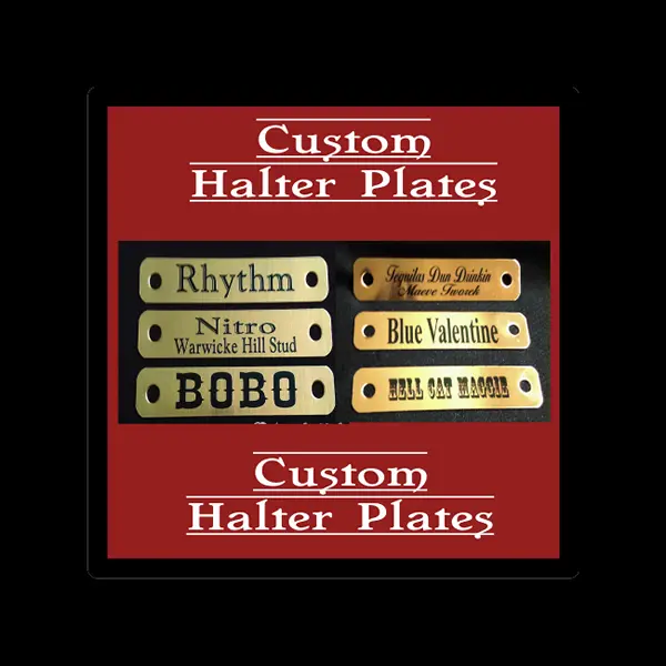 Personalized Brass Name Tag for Horse Halter: Name Plate 5/8" x 3.5" with Chicago Screws Included Custom made  with your text and font choice