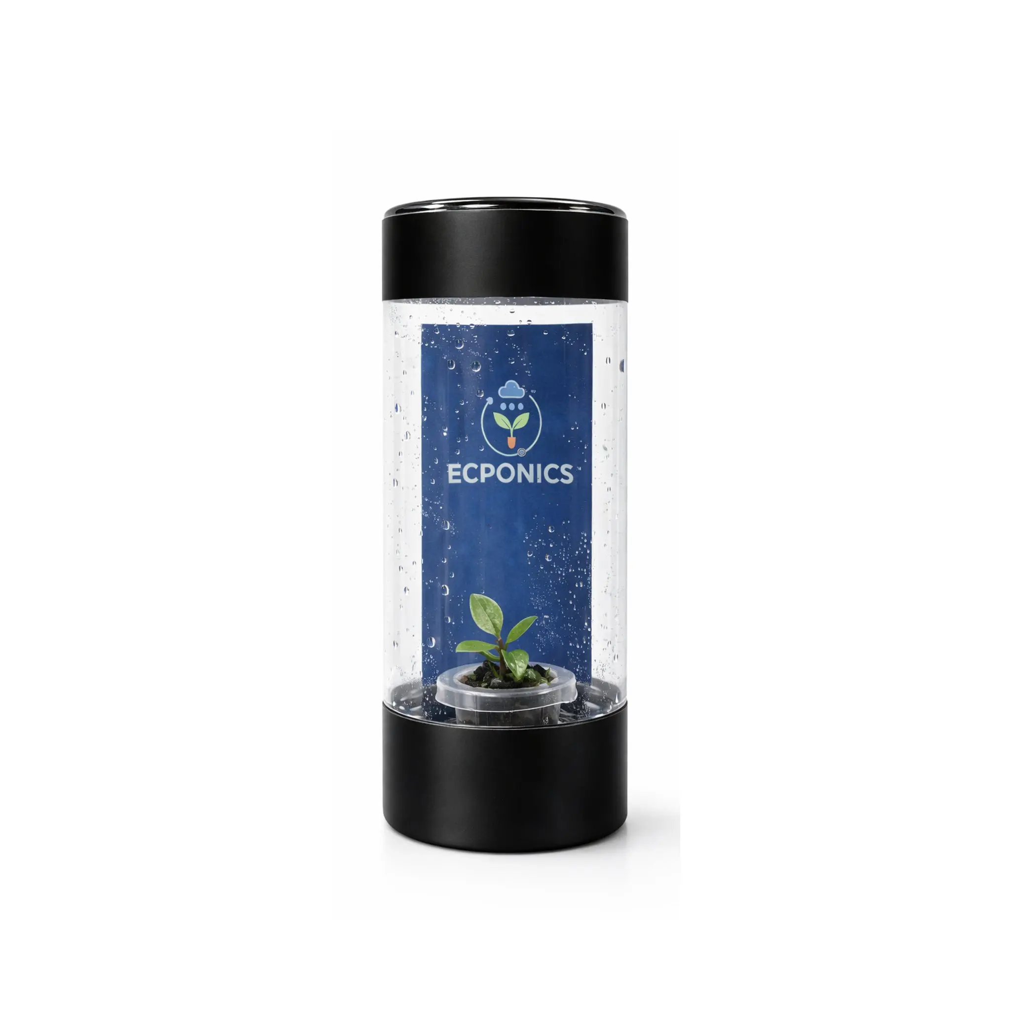 Live Philodendron Mini Black Cardinal Starter Plant in ECPonics Capsule - CA Licensed Nursery, 2 Soil Substrates, Controlled Environment, Compact, Easy Care, Ideal for Gift & Introduction to Gardening