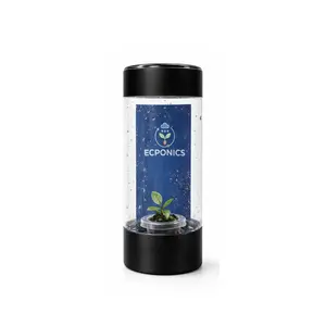 Philodendron Mini Black Cardinal - Starter Plant in ECPonics Capsule (Compact, Easy Care)