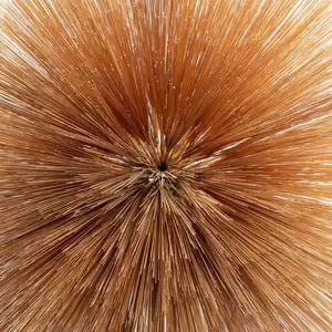 Patricia Brennan - Of The Near And Far  [COMPACT DISC - CD]