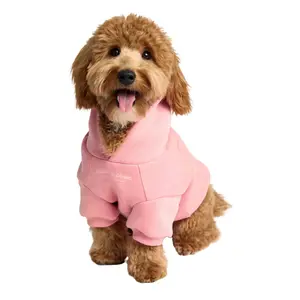 Comfrt Paws | You Matter Hoodie