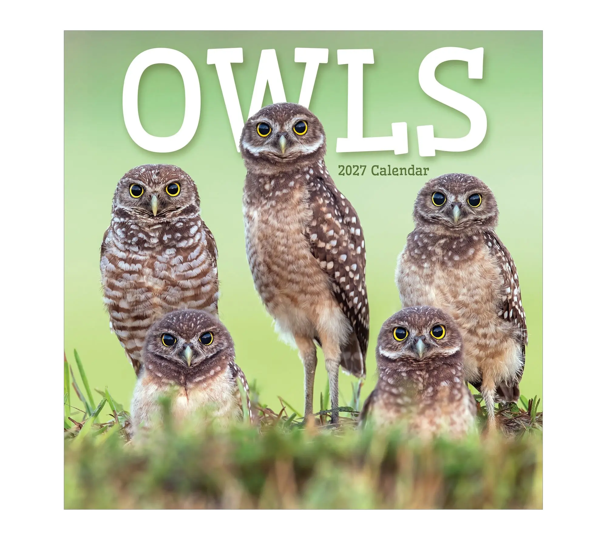 TF Publishing 2027 Owls Wall Calendar TF Publishing 2027 Owls Wall Calendar