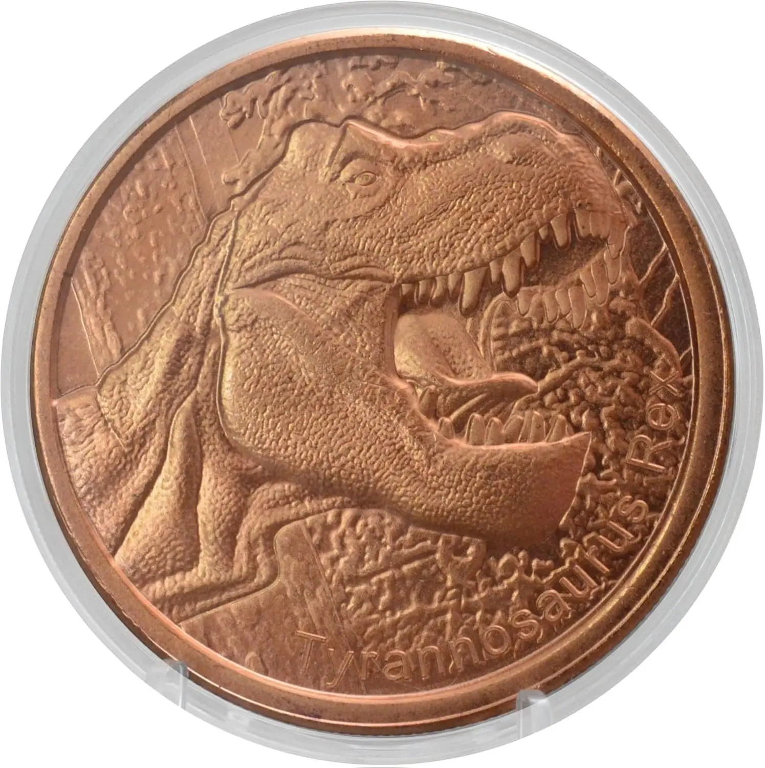 Dinosaur Copper Coins – 1 oz Pure Copper Coin Series 39mm with Capsule