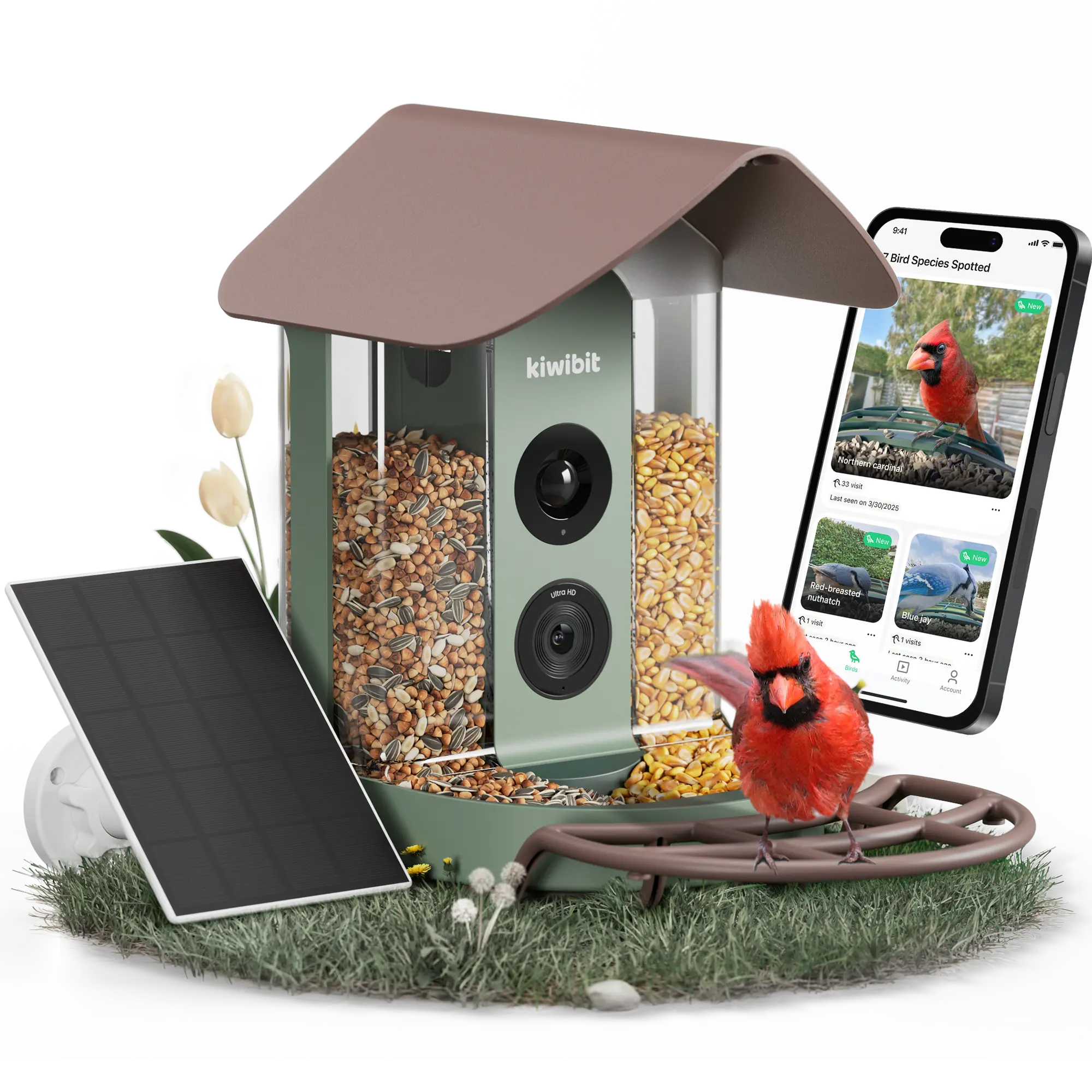 Kiwibit Bird Feeder 4K AI Camera Solar Panel Kit (Lifetime AI Included)