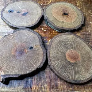 4 Pack Handmade Red Oak Drink Coasters Natural Wood Slices Eco-Friendly Tabletop Protectors for Tableware - Wooden