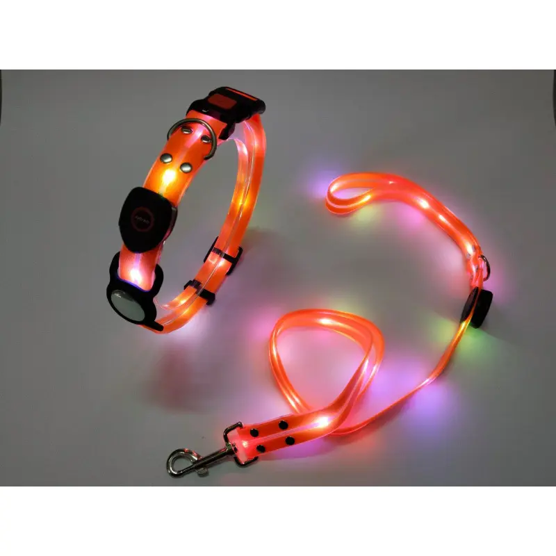 Orange collar + traction rope