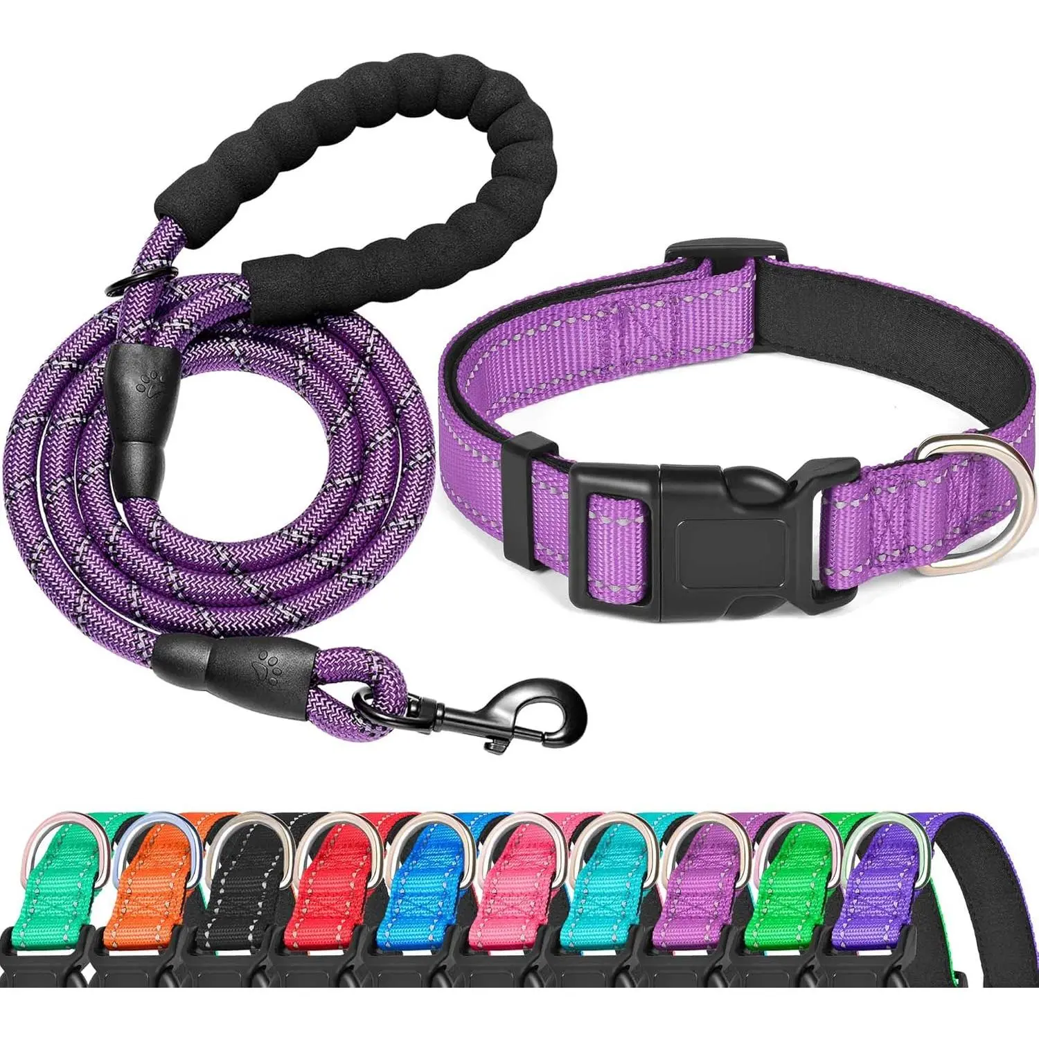 Purple Collar+Leash