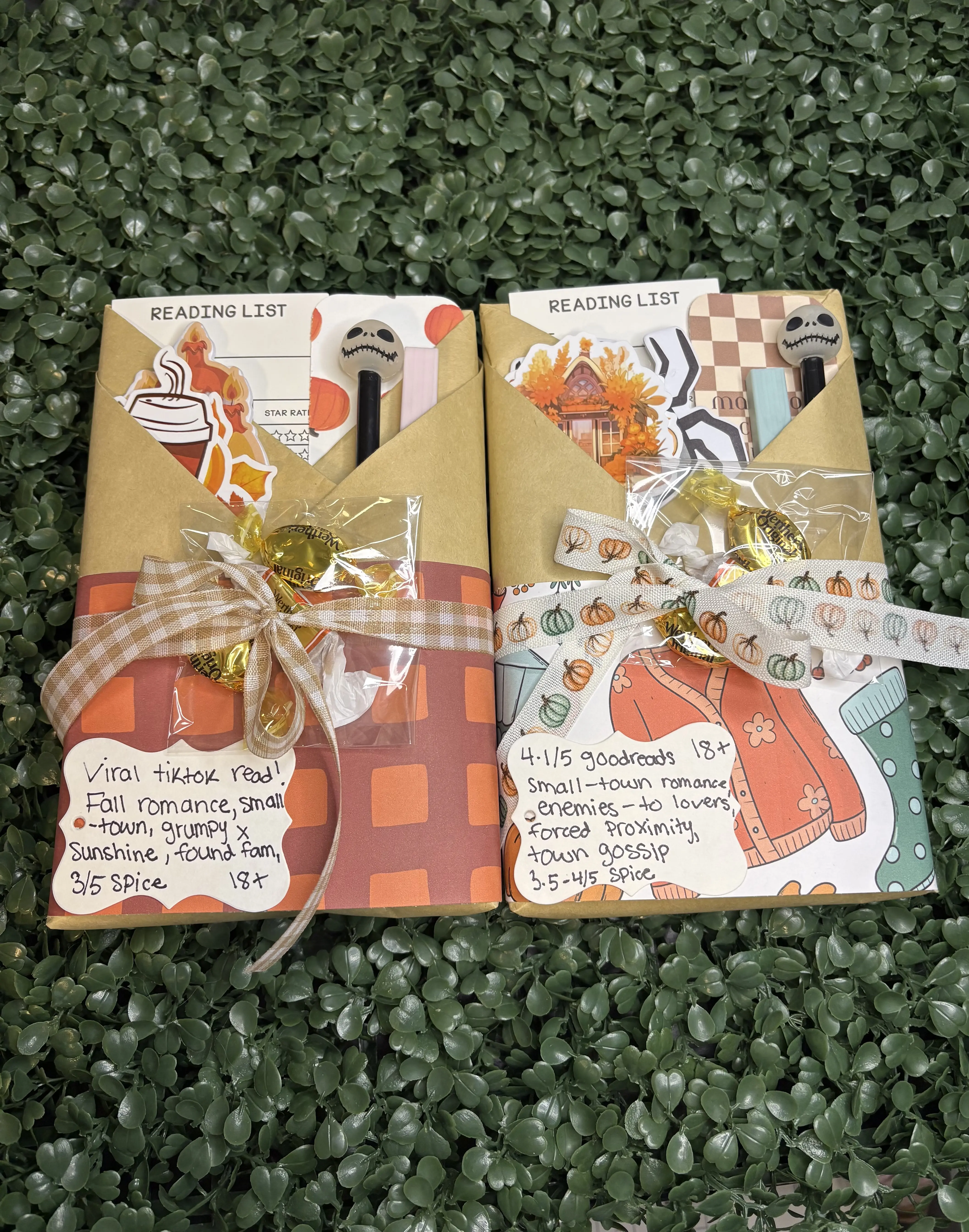 Fall & Halloween Blind Date with a Book | Choose Fall or Halloween Wrapping | Cozy Book Gift | Mystery Book | Book Lover Gift | Autumn Reading