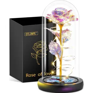Preserved Forever Mothers Day Flower Gifts for Mom, Glass Light Up Rose Gifts for Women Grandma Girlfriend Wife Sister Her, Valentines Mothers Day Christmas Birthday Womens Gift (Colorful)