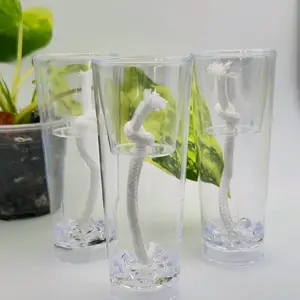 Mini Self Watering Plant Propagation pot Clear Hydroponic Rooting Station for Cuttings | Wick System Planter for Indoor Houseplants