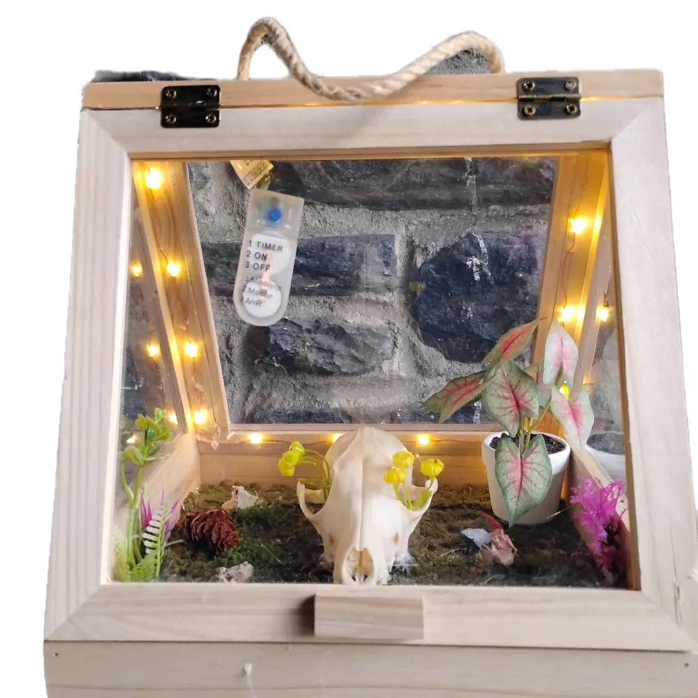 Wolf skull shadow box