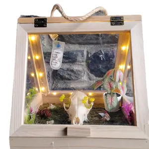 Wolf skull shadow box