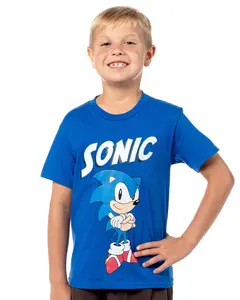 Sonic the Hedghog Boy's Sonic Folded Arms Victory Stance Short Sleeve Kids Graphic Print T-Shirt