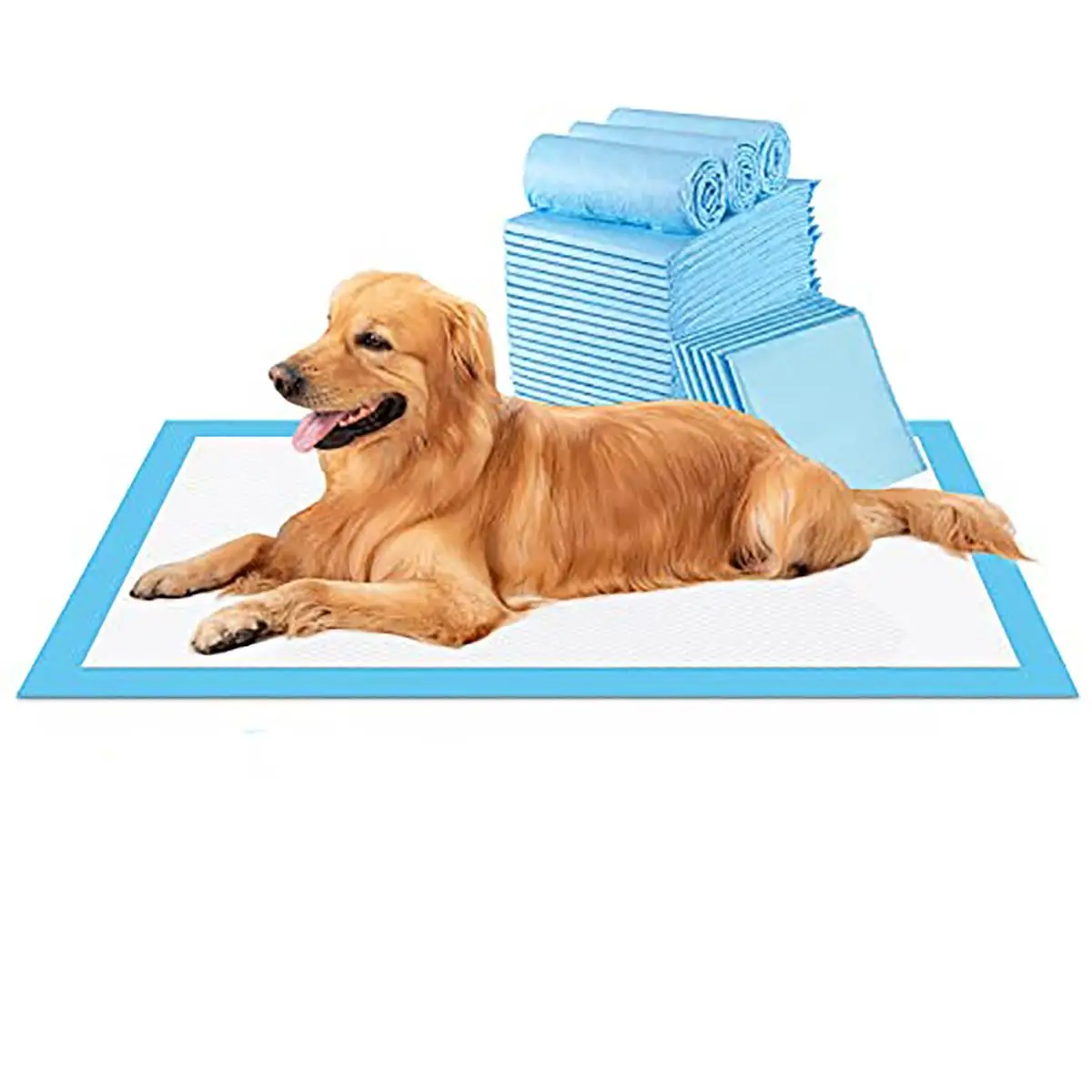 Cat Basic Disposable Pet Training Pad, 20pcs Neutralizing Unpleasant Odors, Protect Your Floors and Your Sense of Smell, Entice Your Pet to Approach t