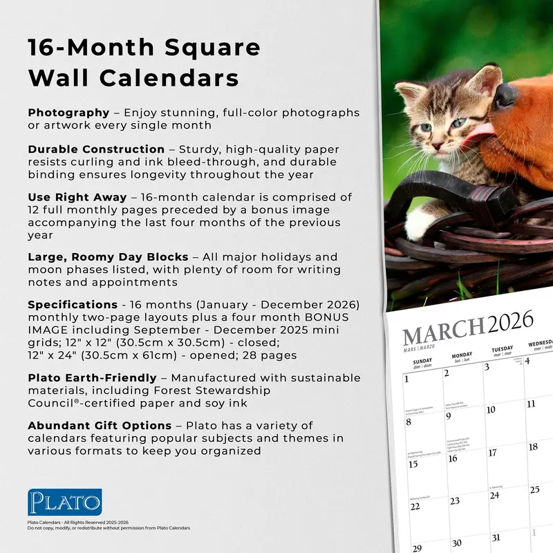 Kittens & Puppies | 2026 12 x 24 Inch (Hanging) Monthly Square Wall Calendar | Foil Stamped Cover | Plato | Animals Cute Kitten Pets 5