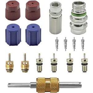 17PCS Car Air Conditioning Valve Core Kit R12 R134A Teflon Seal Cap Valve Kit with Removal Tool for High Low-Pressure A/C Service Port Car HVAC AC Refrigerant Tool Red