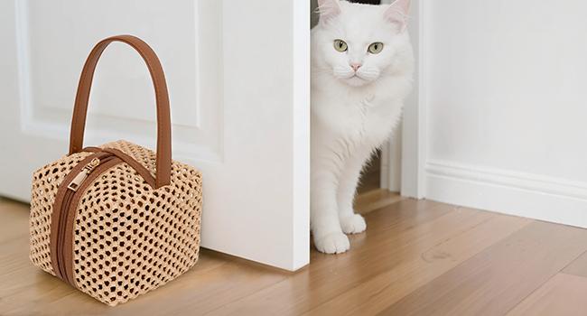 Cabbrix Decorative Door Stoppers for Standard Interior Doors - Cute Rope Knot Design, Weighted Doorstop for Home & School, Beige