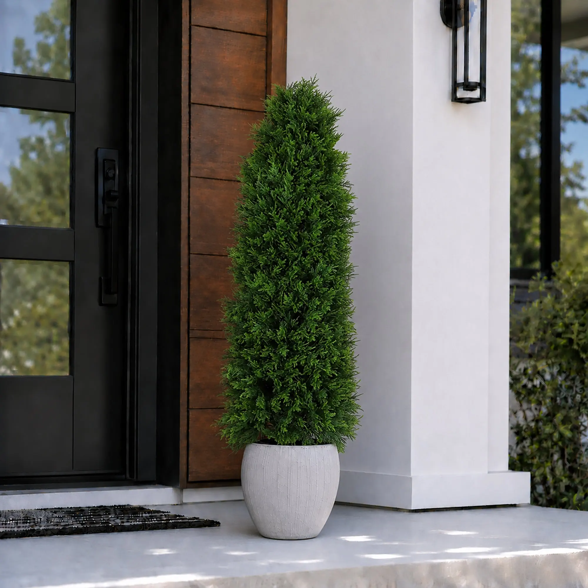 4' Cedar Tower Tree