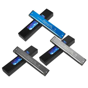 24 Hole C-tone Harmonica, Stainless Steel Panel Harmonica, High Hardness Harmonica, Good Resonance Sound Harmonica, No Fading, No Oxidation