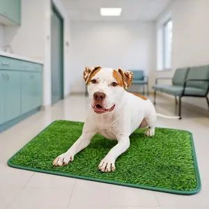 Durable Dog Potty Training Pad Easy Clean Artificial Grass Mat Anti-Odor Toilet Training Tool for Pets 1 Count Dog Toilet Pad & Supplies
