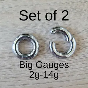 PAIR Silver 2g 4g 6g 8g 10g 12g 14g Hinged Clicker Segment Ring Hoop Earrings Steel Big Gauges Ear Piercing Cartilage plugs men women 316L