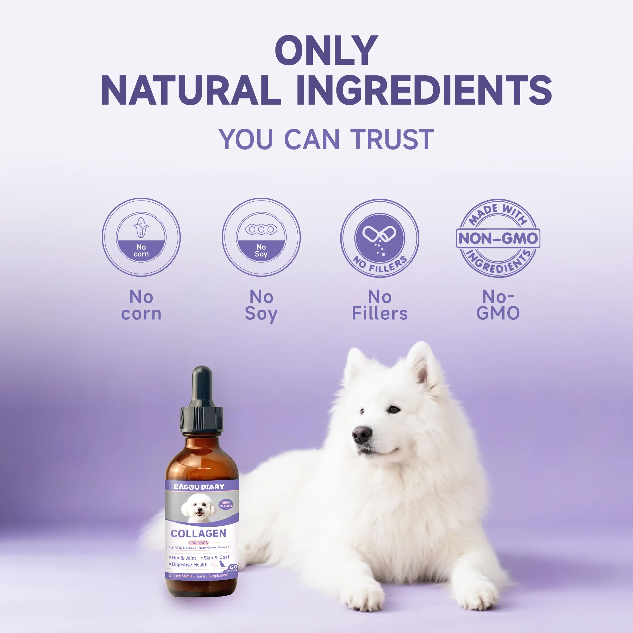 Eagou Diary Collagene Liquido Per Cani – Supporto Articolare, Pelle E Pelo, Con Glucosamina, MSM, Vitamina C/E E Biotina, Gusto Pollo, 60 Ml