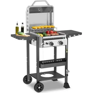 R.W.FLAME 2-Burner Propane Gas BBQ Grill, 16000 BTU Stainless Steel Barbecue with Cast Iron Grates Side Storage Shelves, Top Lid, Oil Tray, Wheels Ideal for Outdoor Cooking, Patio, Backyard, Camping Parties