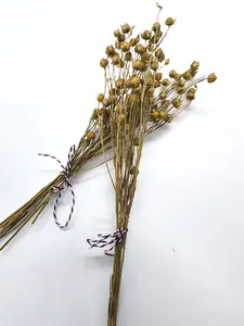 Small flax spray for hamsters | Rodents | Small Animals