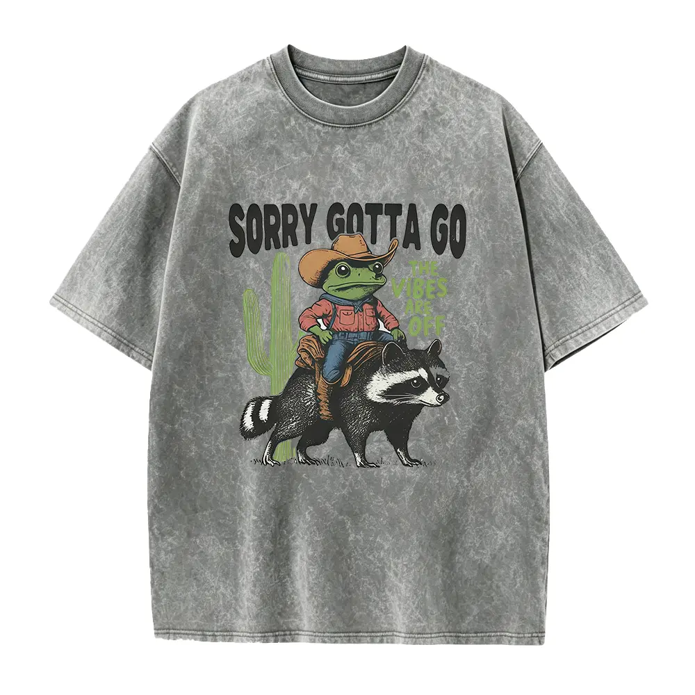 Vibes Are Off Comfort T-Shirt, Sorry Gotta Go Shirt, Retro Frog Tshirt, Funny Retro T Shirt, Graphic Tee, Funny Unisex Aesthetic Tshirt