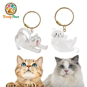 Cat Hair Storage Memory Pendant Keychain, Transparent Pet Fur Collector Charm, DIY Sentimental Memorial Gift for Cat Lovers, Cute Cat Mom Essential Keepsake